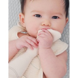 Organic Teethers